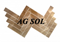 logo_AGSOL.png